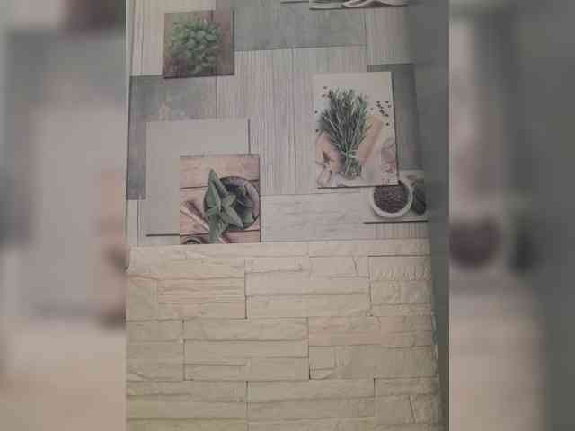 Andromache