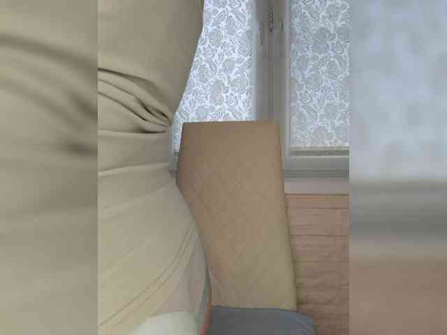 Anesteishen webcam