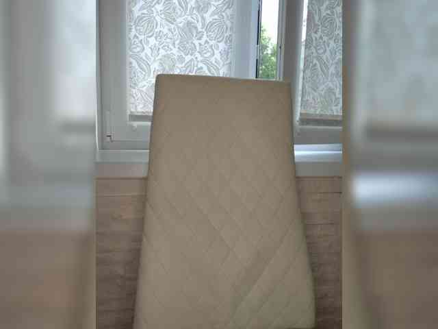 Anesteishen webcam