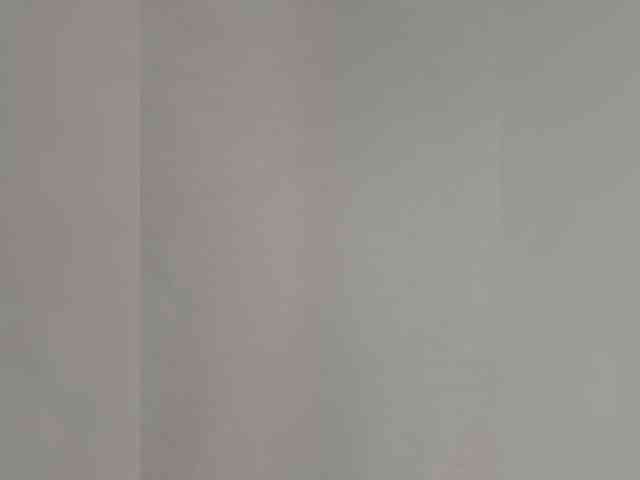 Anesteishen webcam