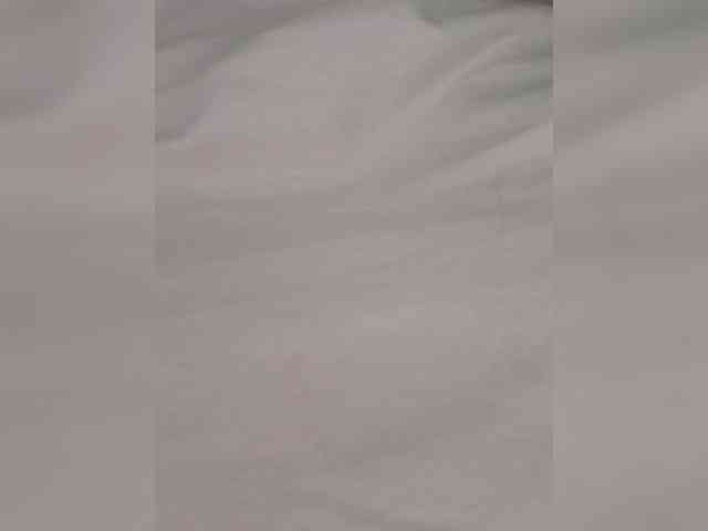 Anesteishen webcam