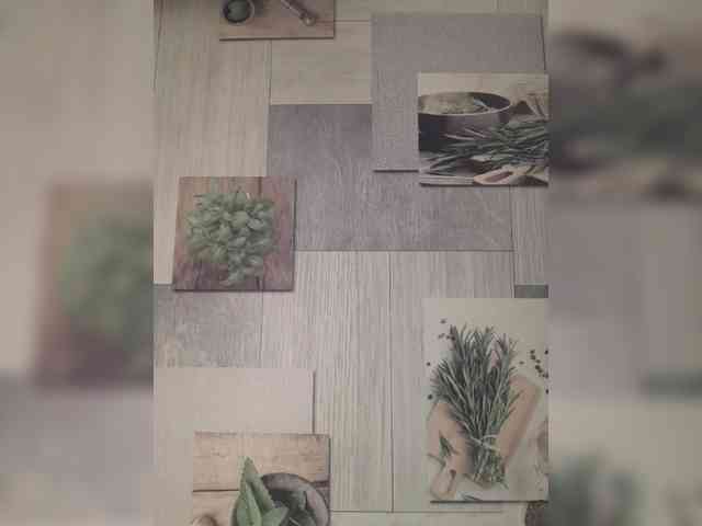 Anesteishen webcam