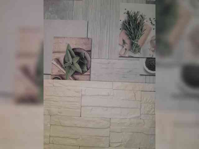 Anesteishen webcam