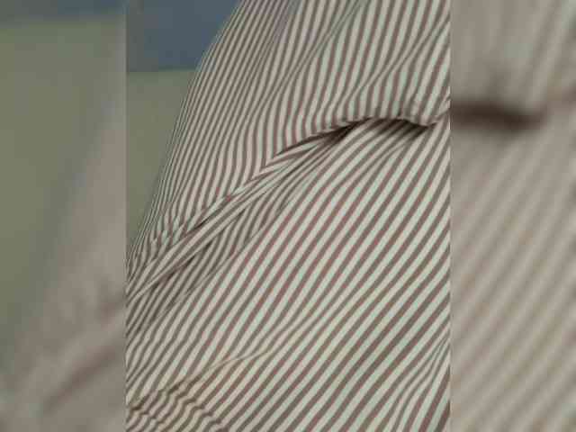 Anesteishen webcam