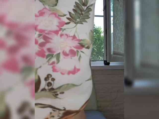 Anesteishen webcam