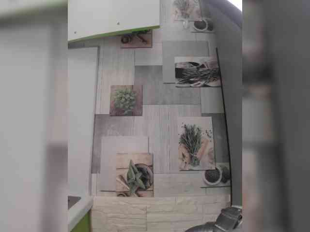 Anesteishen webcam