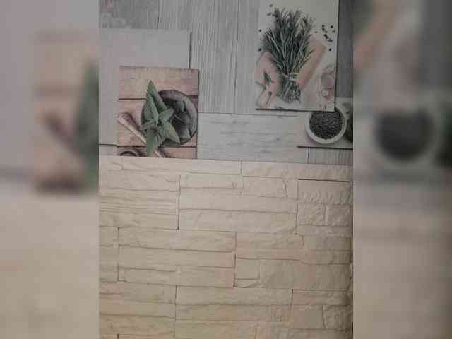 anesteishen's live room
