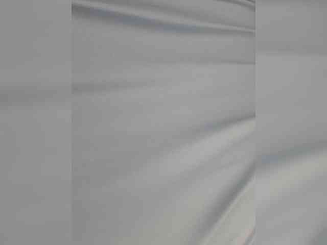 Anesteishen webcam
