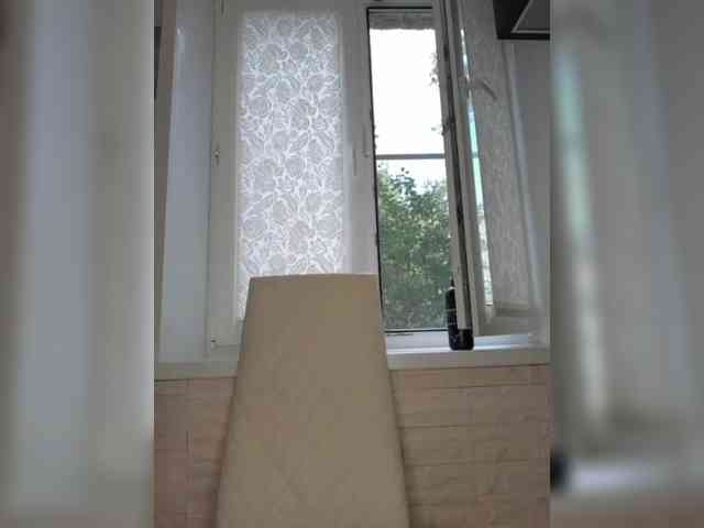 Anesteishen webcam
