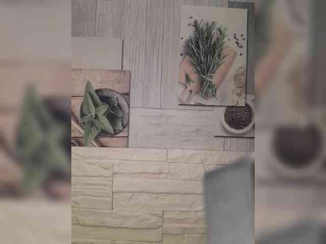 Anesteishen webcam