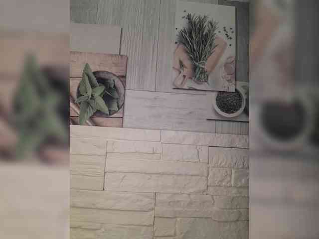Anesteishen webcam