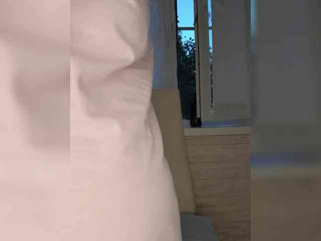 Anesteishen webcam