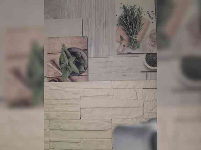 Anesteishen webcam