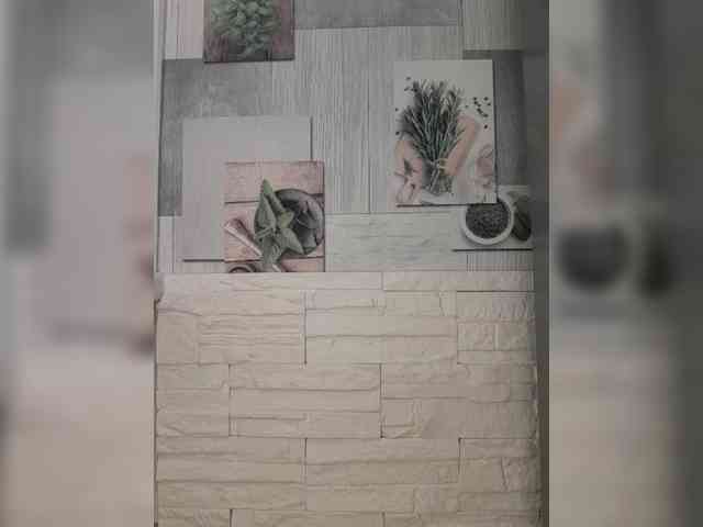 Anesteishen webcam