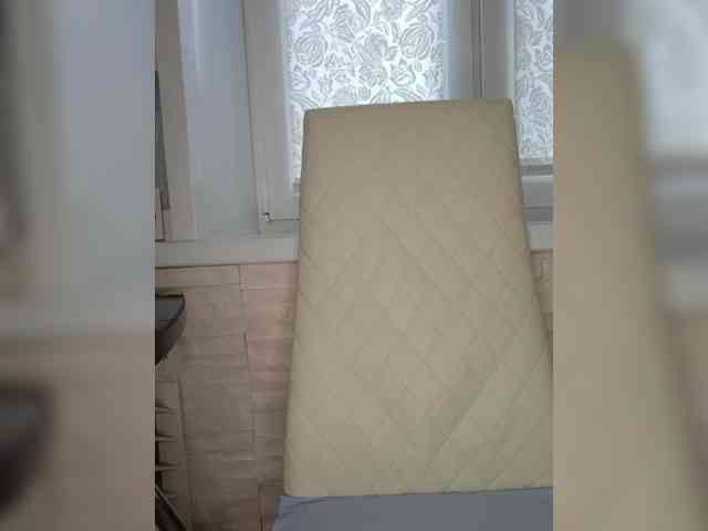 Anesteishen webcam