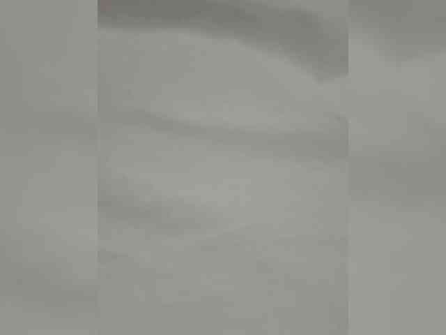 Anesteishen webcam