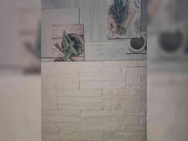 Andromache webcam