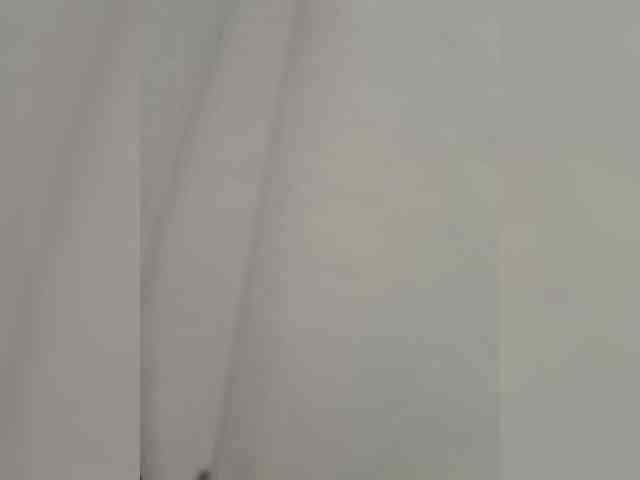 Anesteishen webcam