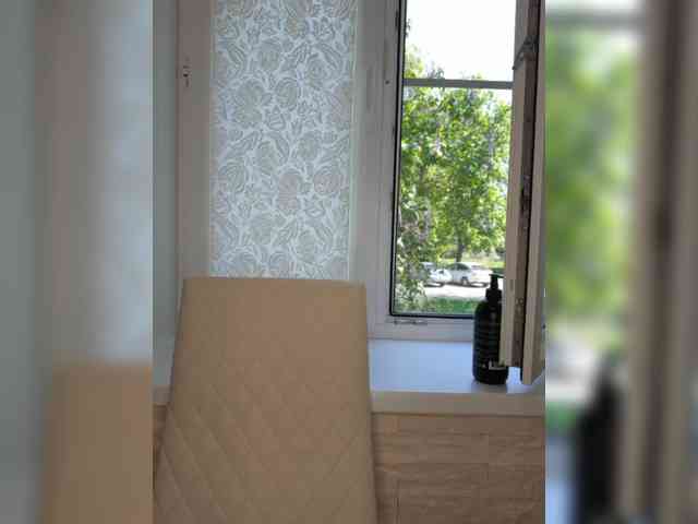 Anesteishen webcam