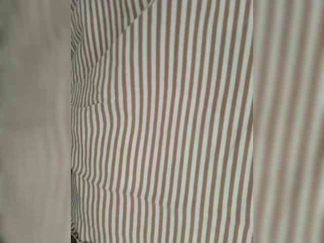 Anesteishen webcam