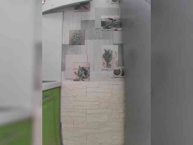 Anesteishen webcam