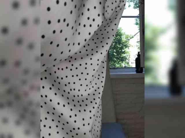 Anesteishen webcam