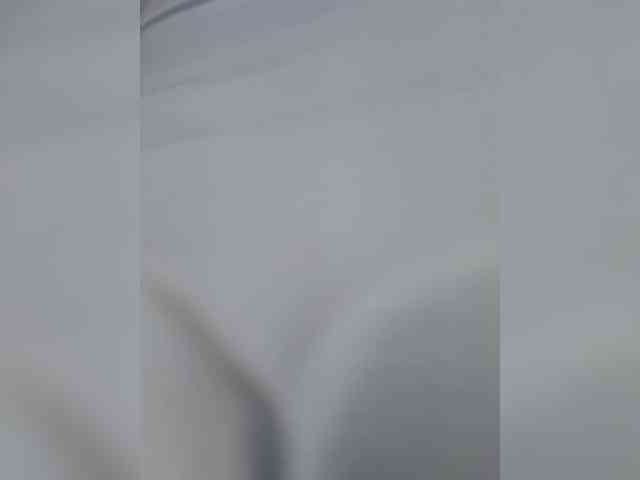 Anesteishen webcam