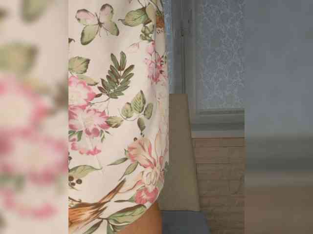 Anesteishen webcam