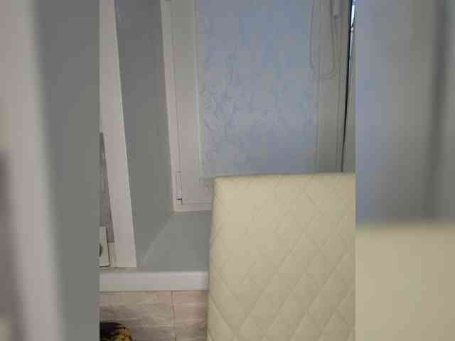 Anesteishen webcam