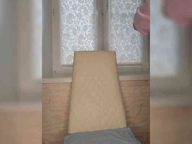 Anesteishen webcam