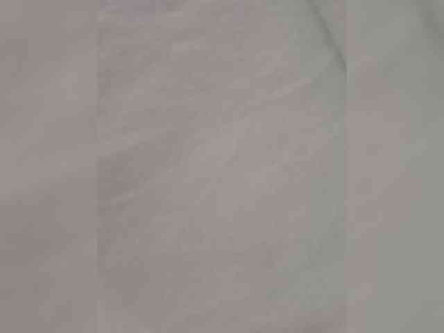 Anesteishen webcam