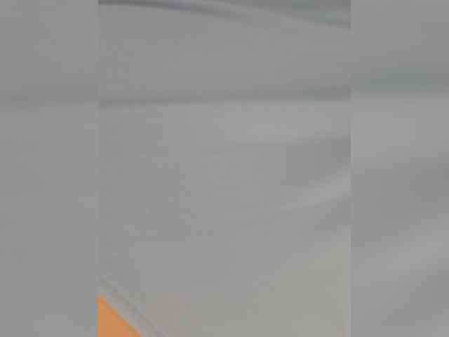 Anesteishen webcam