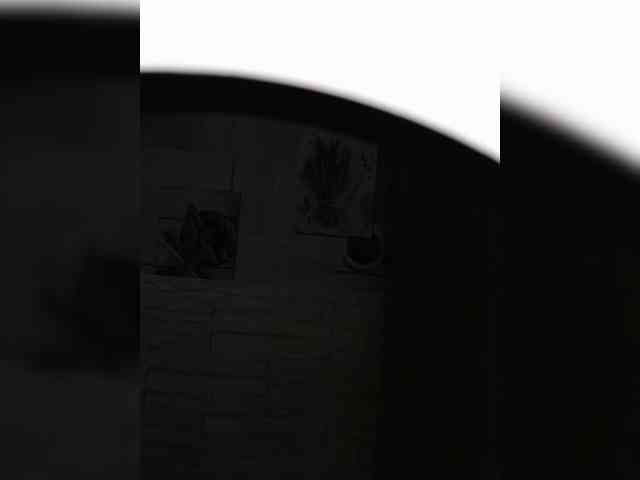 Anesteishen webcam