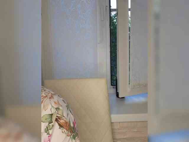 Anesteishen webcam