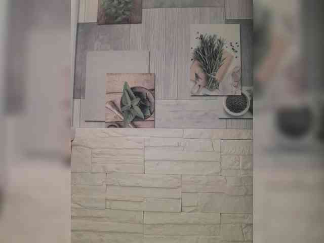 Andromache