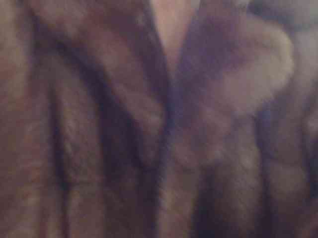 Khalissi webcam