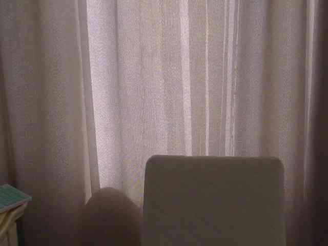 Khalissi webcam