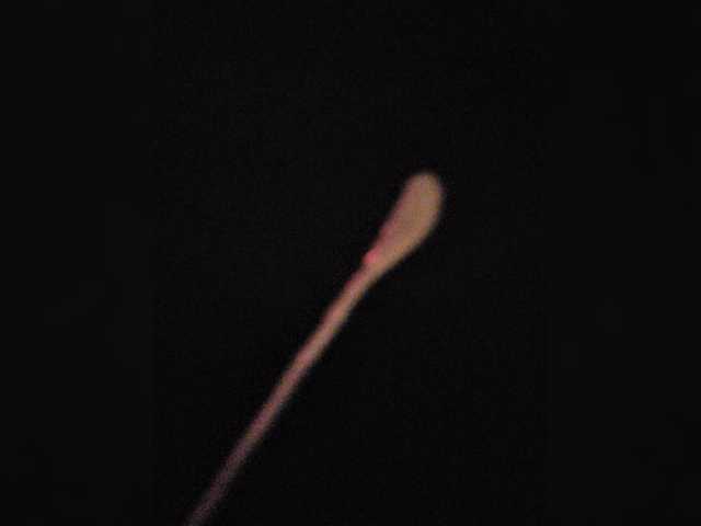 ladyofdesire live sex show