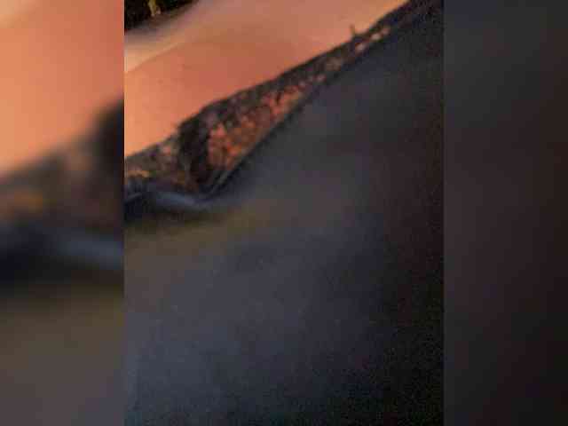 LadyOfDesire webcam