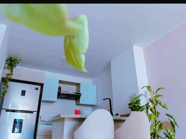 _Honey_Pot_ webcam