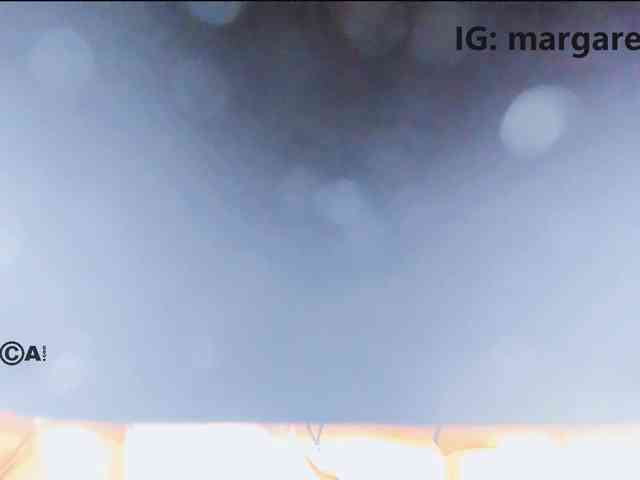 _Honey_Pot_ webcam