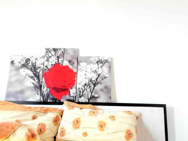 AngelNicollex webcam