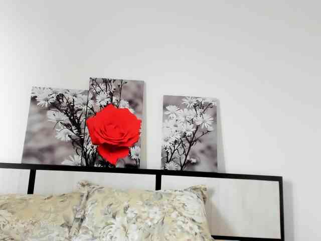AngelNicollex webcam