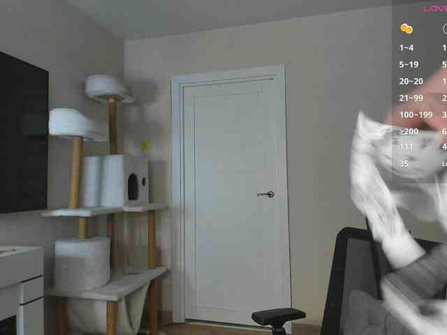 A_Lisa webcam