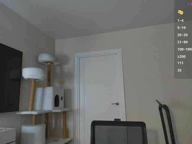 A_Lisa webcam