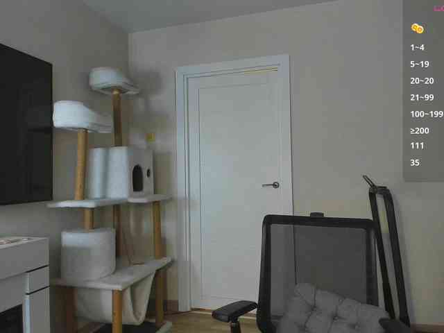 A_Lisa webcam