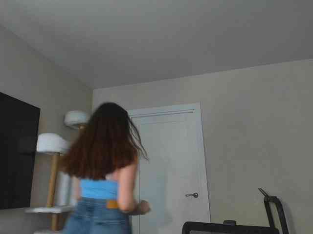 A_Lisa webcam