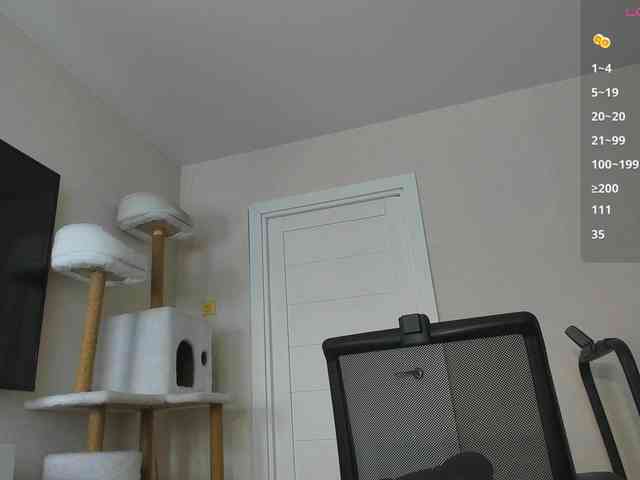 A_Lisa webcam