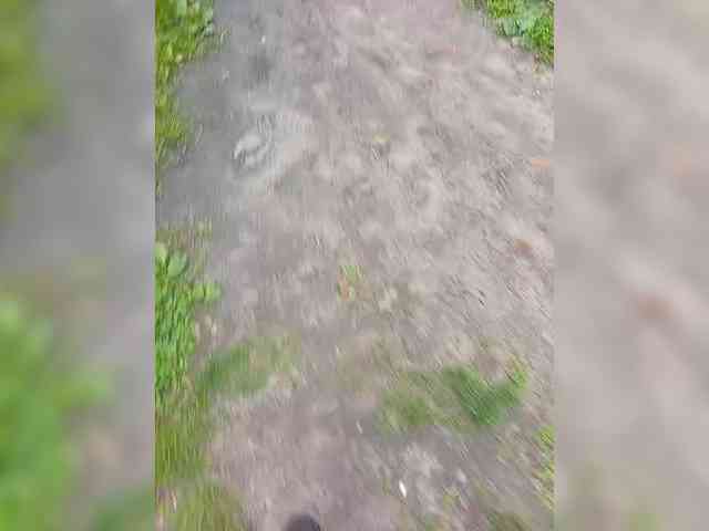 buniaya123 webcam