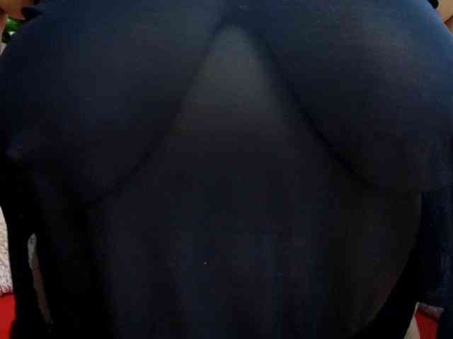 workMe webcam